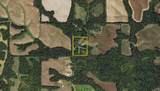 9304 Ellis Road - Photo 84