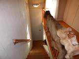 6036 Stagecoach Trail - Photo 20