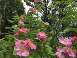 26376 Farwell Road - Photo 22