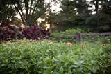 6N198 Old Homestead Road - Photo 44