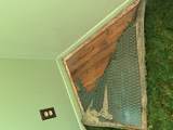 2445 Wood Street - Photo 10