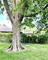 403 Hickory Street - Photo 52