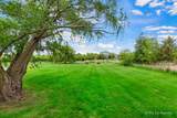 5 Canterbury Court - Photo 40