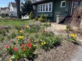 704 Division Street - Photo 2