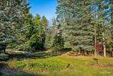 3205 Pine Woods Lane - Photo 28