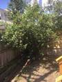 1816 Jefferson Street - Photo 19