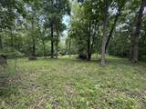 Lot 235 Lake Thunderbird Drive - Photo 1