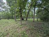 Lot 235 Lake Thunderbird Drive - Photo 2