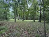 Lot 235 Lake Thunderbird Drive - Photo 3