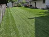 219 Brookside Drive - Photo 8