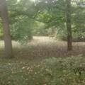 65 Lincolnshire Drive - Photo 2