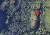 599 Plum Tree Road - Photo 1