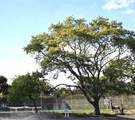 1117 Old Wilke Road - Photo 9