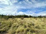 5048 Smokethorn Trail - Photo 11