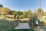 1409 Butchers Lane - Photo 71