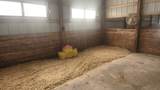 6079 Manchester Road - Photo 21