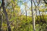 710 Short Street - Photo 59