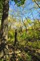 710 Short Street - Photo 61