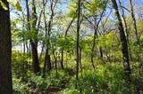 710 Short Street - Photo 62