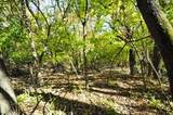 710 Short Street - Photo 64