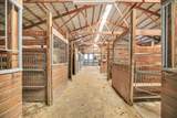 561 County Road 700 - Photo 40