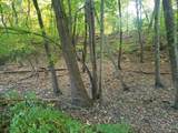 7321 Ash Avenue - Photo 6