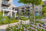 255 Addison Avenue - Photo 19