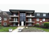 17005 Albany Avenue - Photo 1