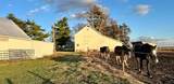 86 County Road 575 - Photo 36