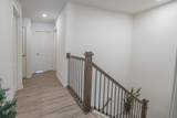 2617 Martini Street - Photo 16