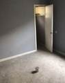 3553 77th Street - Photo 10