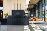 234 Polk Street - Photo 2