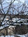9500 Washington Street - Photo 25