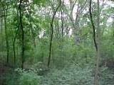 35W247 Fox River Drive - Photo 1