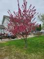 109 Largemouth Lane - Photo 4