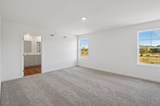 3545 Richardson Circle - Photo 9