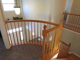1003 Marion Drive - Photo 24