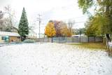 6016 Charles Street - Photo 7