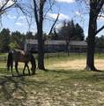 8206 Bull Valley Road - Photo 47