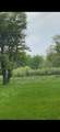 1275 Country Club Road - Photo 40