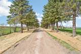1406 Busse Road - Photo 64