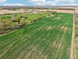 1406 Busse Road - Photo 74
