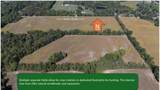 TBD Green Road - Photo 4