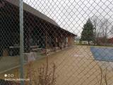 27 Oyster Bay - Photo 10