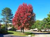 787 Oak Hill Road - Photo 48