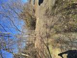00 Giant City Road - Photo 2