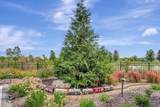 11483 Zermatt Drive - Photo 81