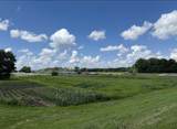 Lot 110, -4, -5, -6 1st Avenue - Photo 9