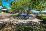 8928 Steven Drive - Photo 16