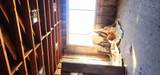 4118 Midlothian Avenue - Photo 4
